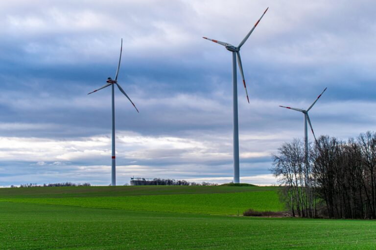 La regulación energética vuelve al centro: cómo las nuevas medidas están empezando a cambiar decisiones empresariales